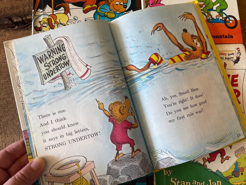 Berenstain Bears Books // You Choose // Bright and Early Books for ...