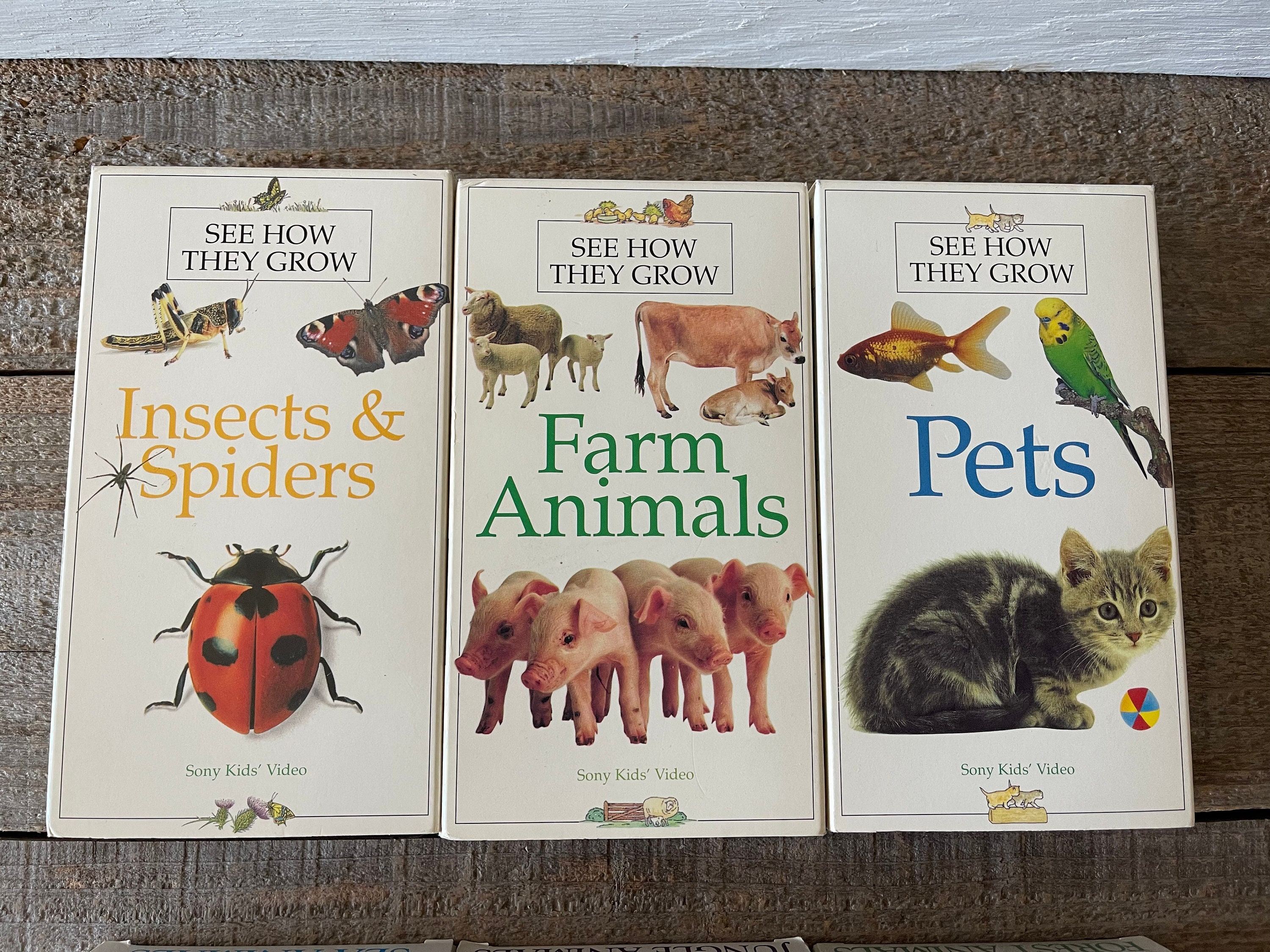 See how they grow vhs movies you choose insects etsy