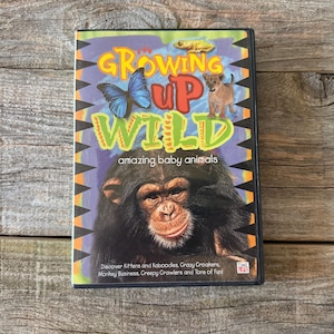 Op de afbeelding: DVD-hoesje voor "Growing Up Wild", met een chimpansee, vlinder en leeuwenwelp. De titel is in geel en groen, met "amazing baby animals" eronder. De hoes ligt op een houten oppervlak.