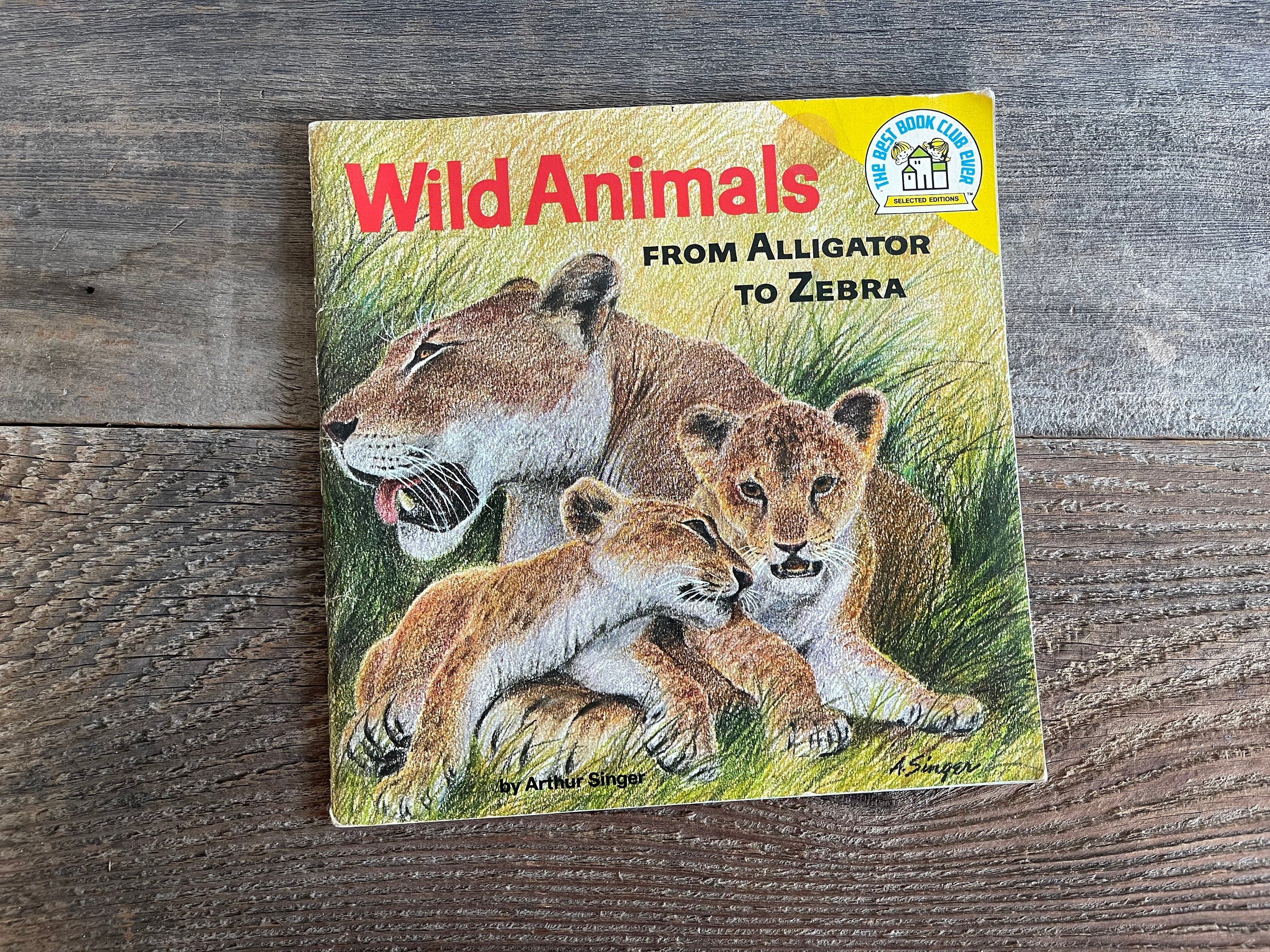 ロジァンコフスキー絵本ー「WILD  ANMALS  AT HOME」1935年 Wild Animals Book: Arthur Singer, 1973 - Etsy