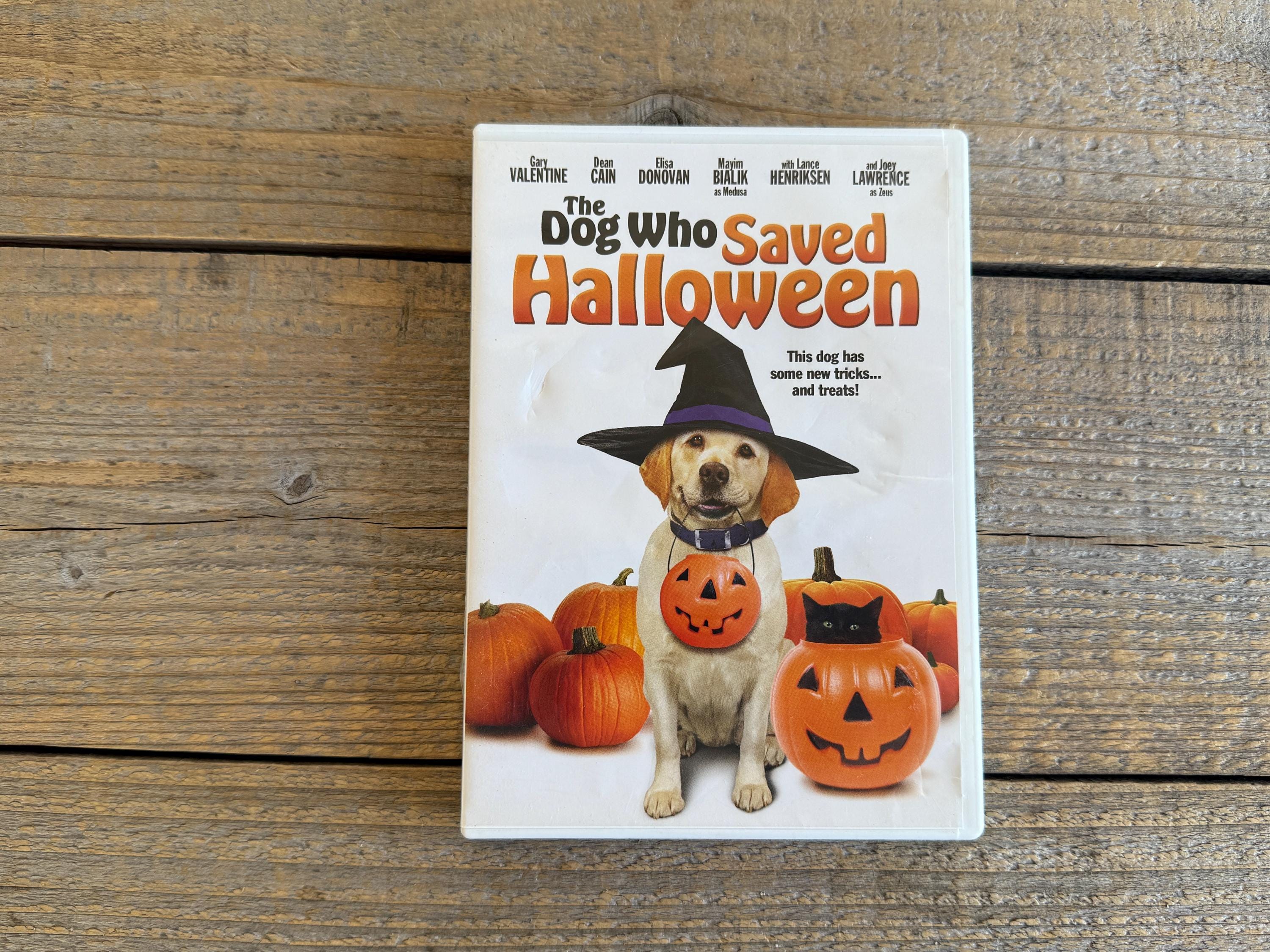 The Dog Who Saved Halloween DVD // Rated PG // Joey Lawrence