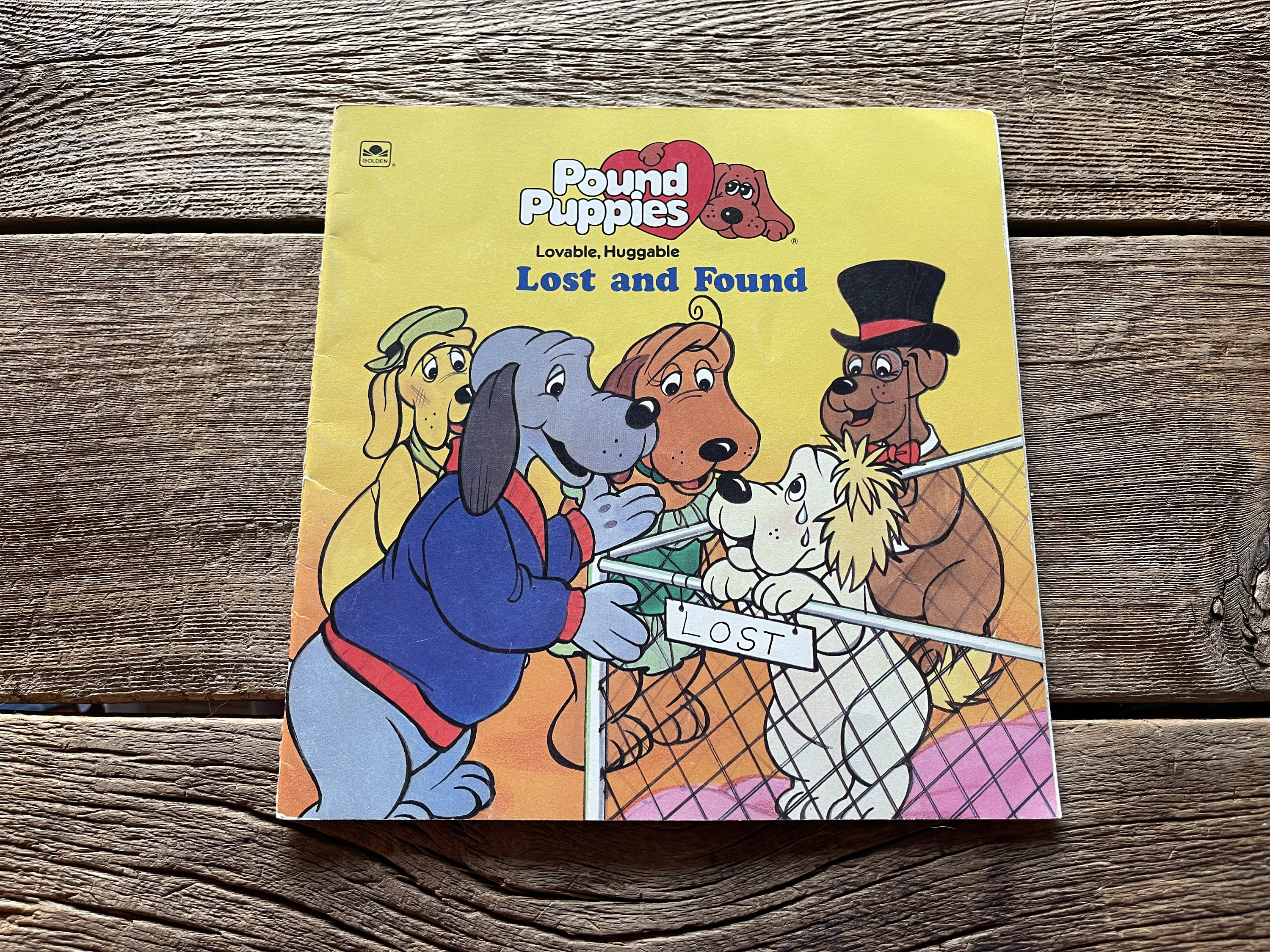 Pound lost store and found