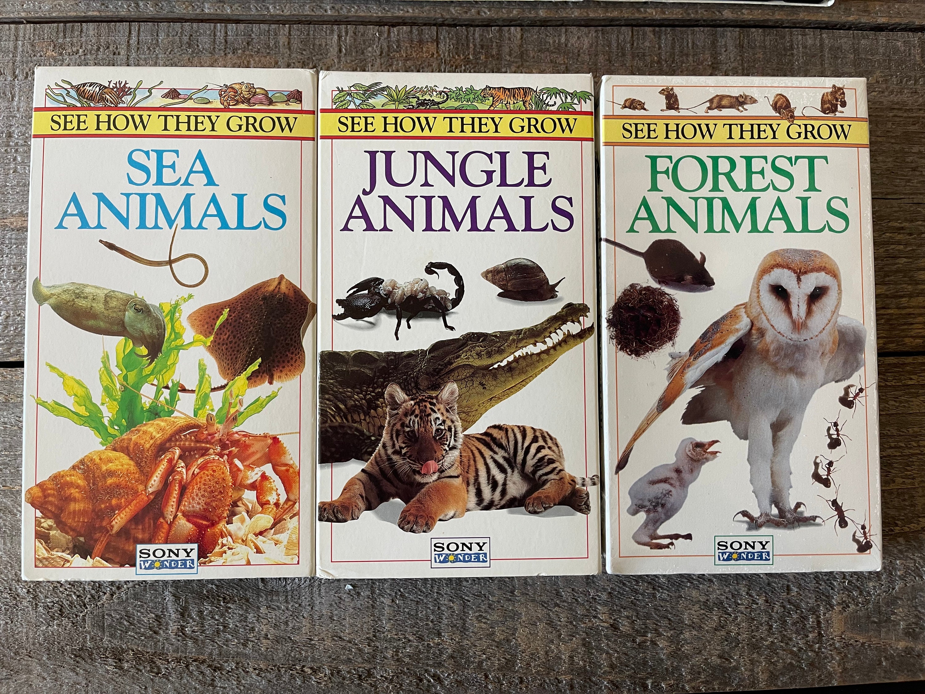 See how they grow vhs movies you choose insects etsy
