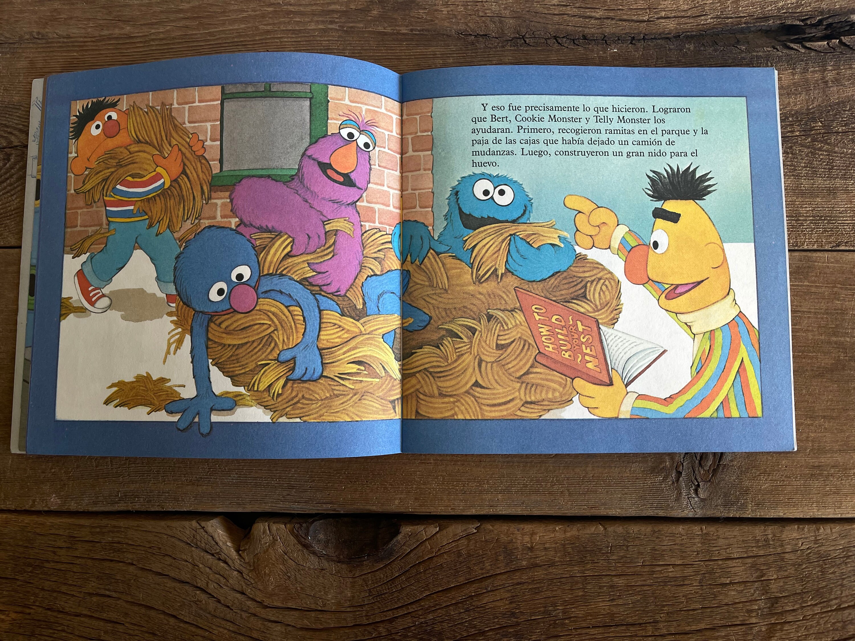 Spanish Sesame Street Book // Un Cuento Para La Hora De Dormir Etsy