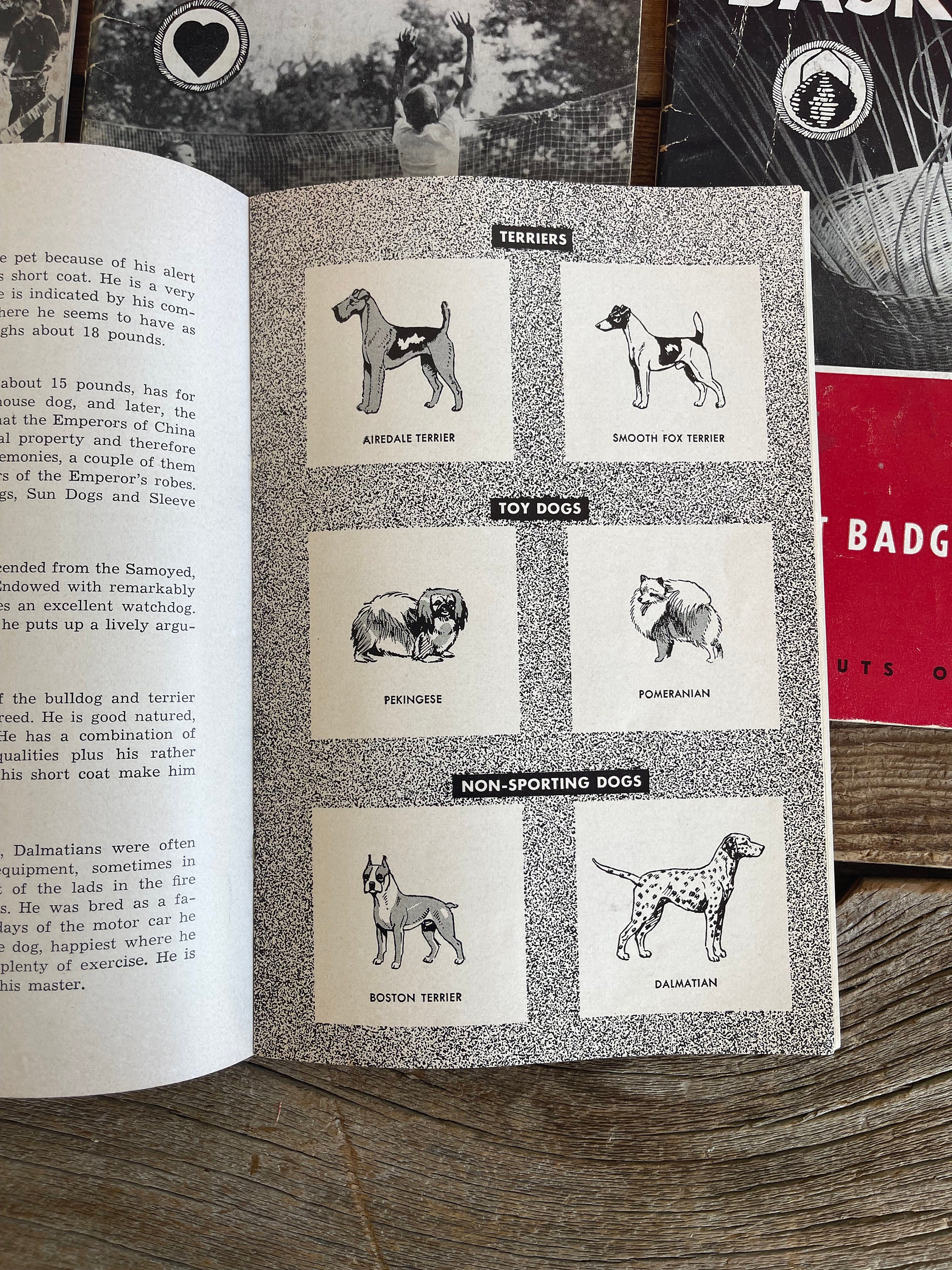 Vintage 1950's & 1960's Boy Scouts of America Books // Merit Badge ...