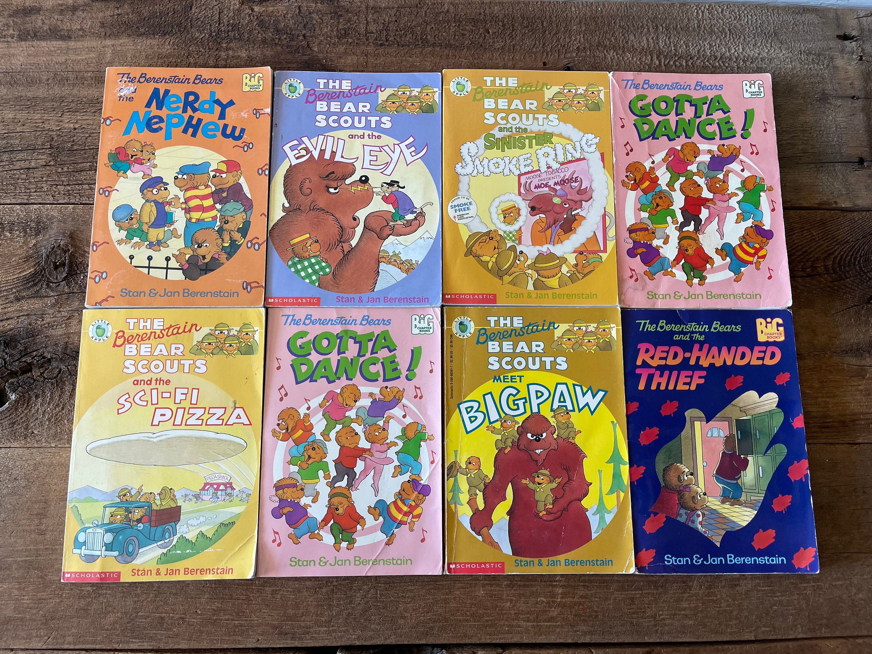 The Berenstain Bears Chapter Books // You Choose // Stan & Jan Etsy