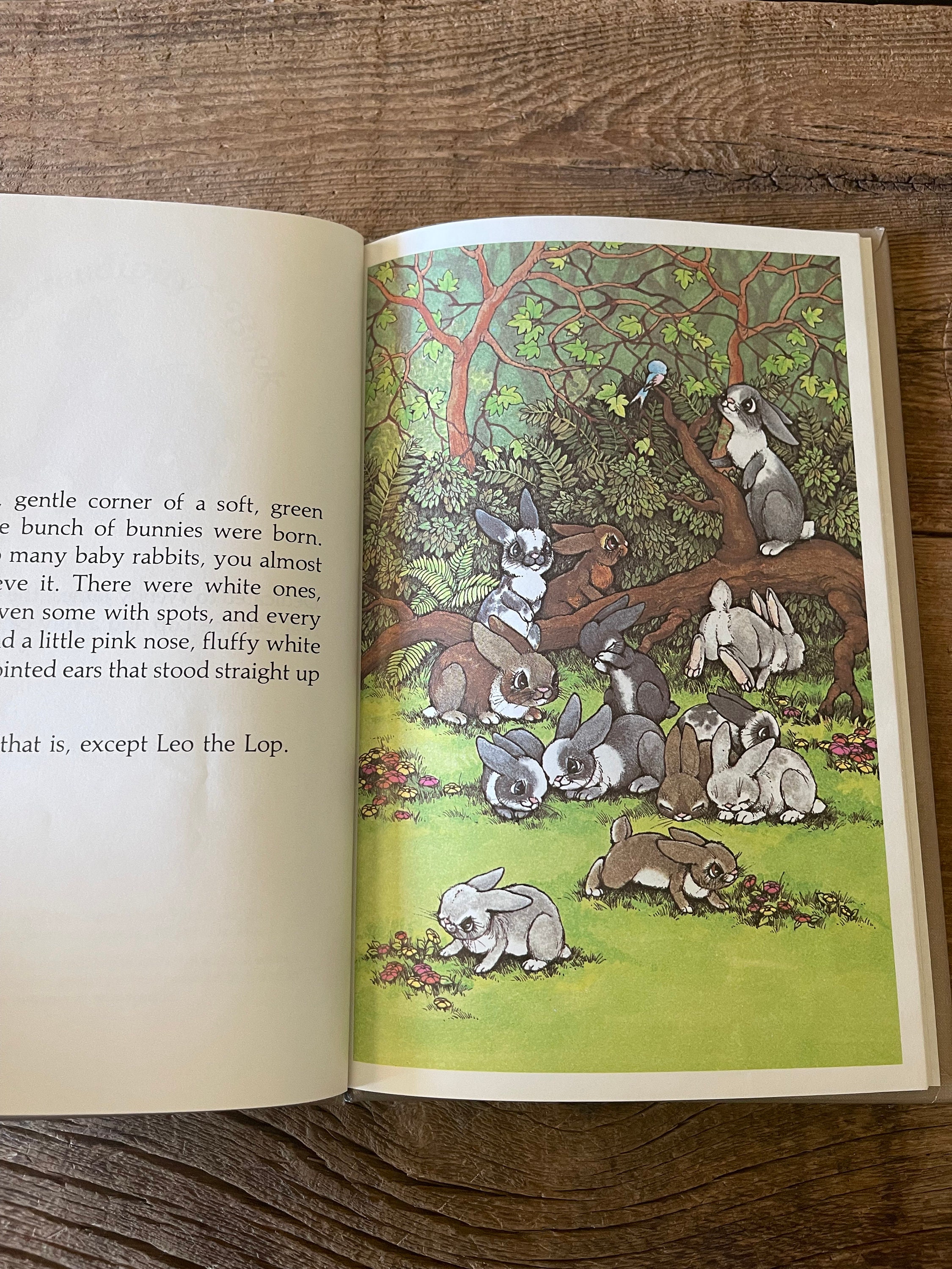 Serendipity Hardcover Books // You Choose // Stephen Cosgrove - Etsy