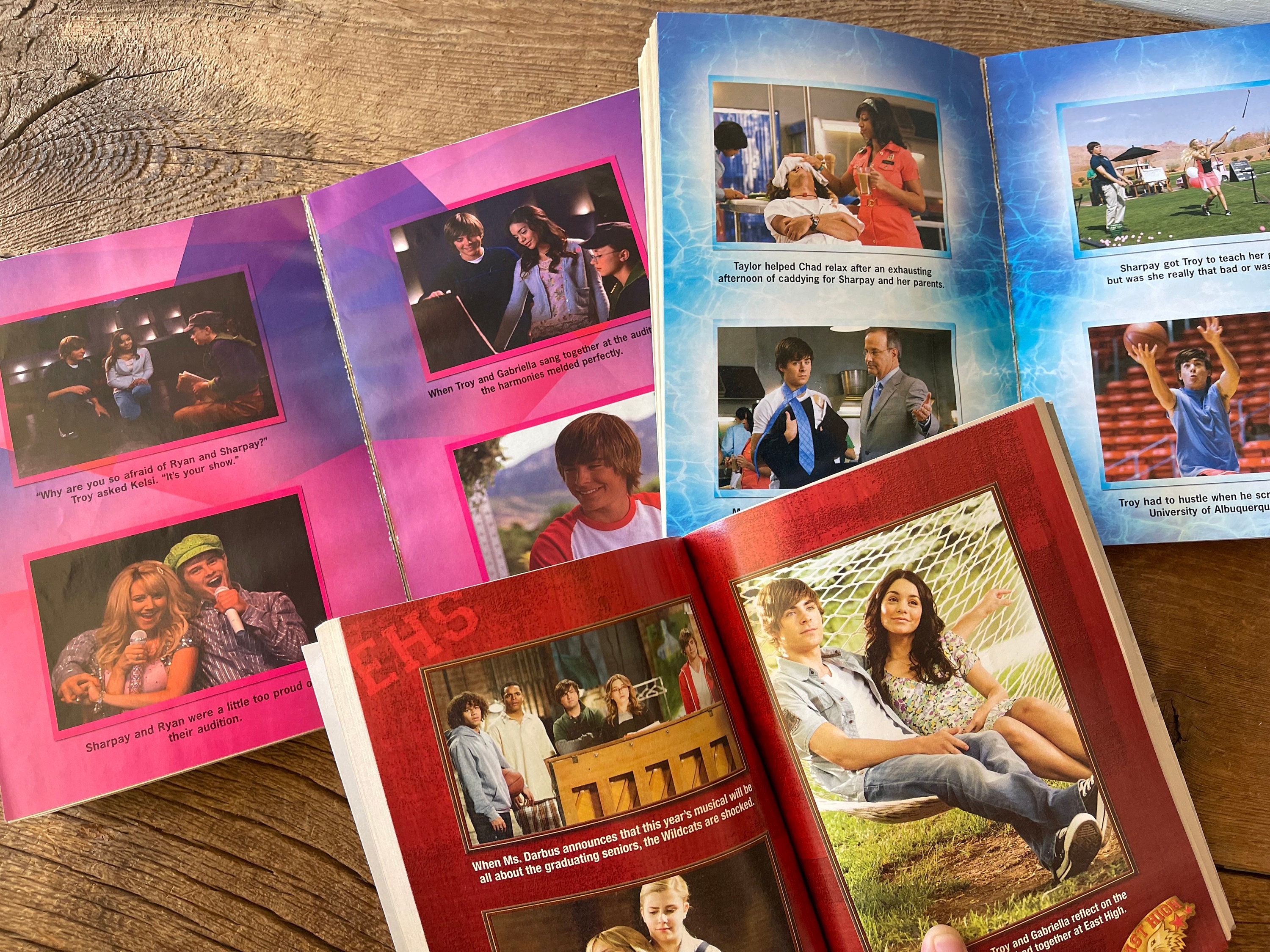 High School Musical Books // You Choose // Based on Disney