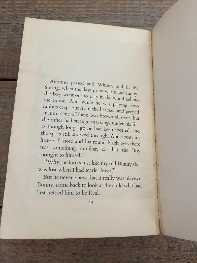 The Velveteen Rabbit by Margery Williams // Camelot 1975 // Good Used ...