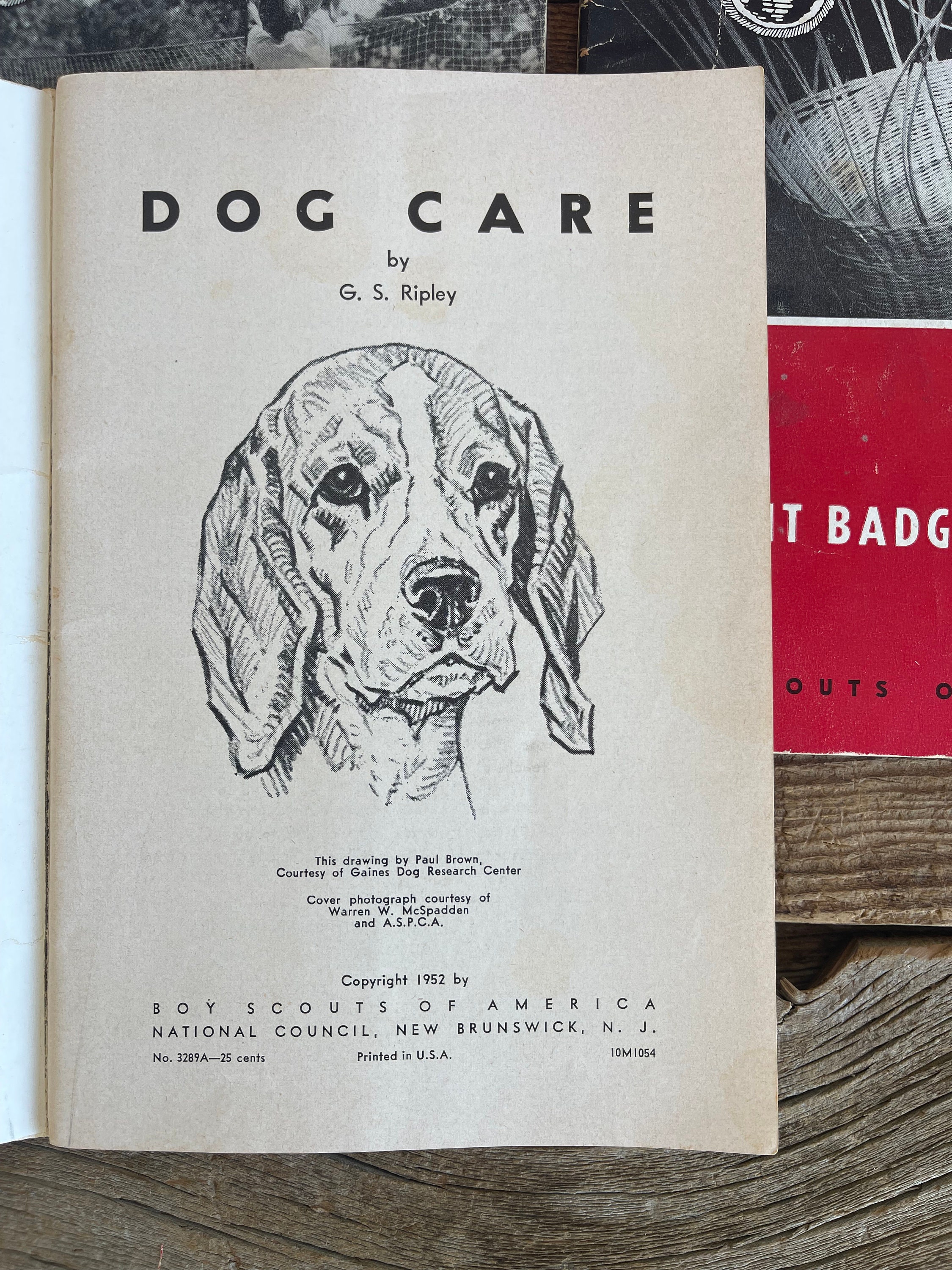 Vintage 1950's & 1960's Boy Scouts of America Books // Merit Badge ...