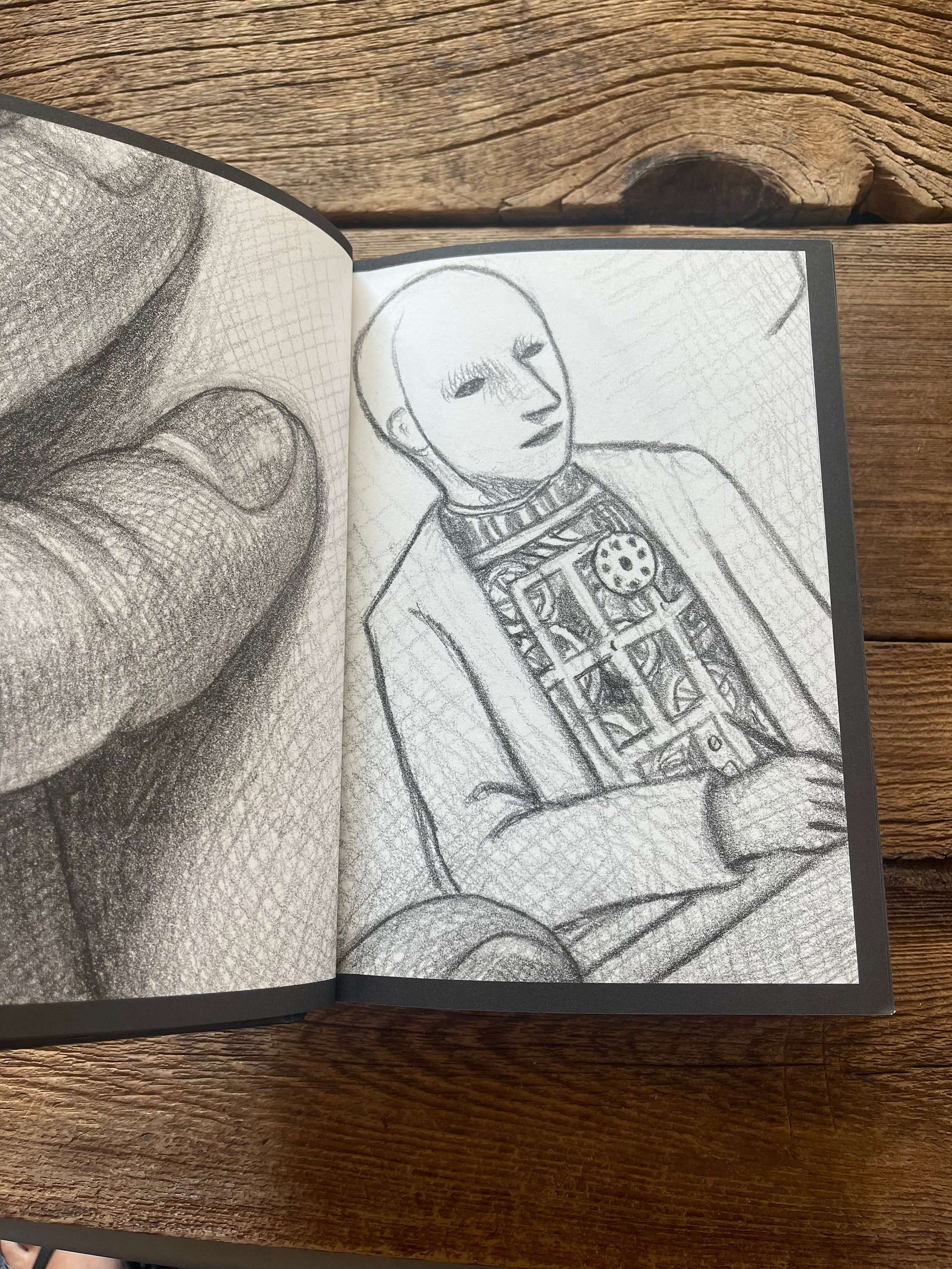 The Invention of Hugo Cabret: Brian Selznick, First Edition,  Caldecott-winnaar - Etsy België, image size:2250x3000