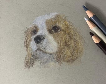 Custom Pet Portrait Drawing, 4x6 Colored Pencil Art, Pet Loss Keepsake