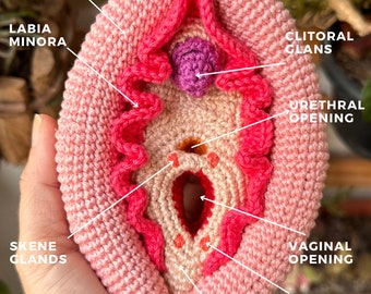Vulva and clitoris dockable (PDF file, English)