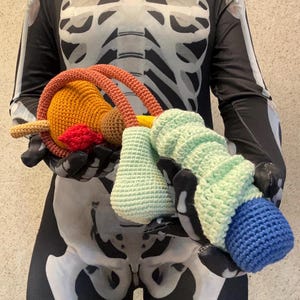 May include: A multi-colored crochet anatomical model featuring a mustard yellow uterus, a red ovary, and two long, textured coral-colored fallopian tubes. Attached is a light green, ribbed, cylindrical structure ending in a solid blue base.