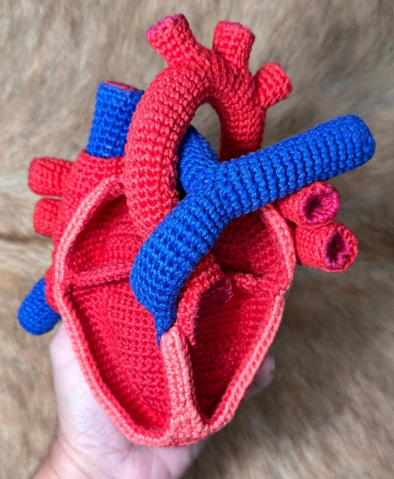 HUMAN HEART
ANATOMICAL CROCHET PATTERN

PDF + VIDEO TUTORIALS