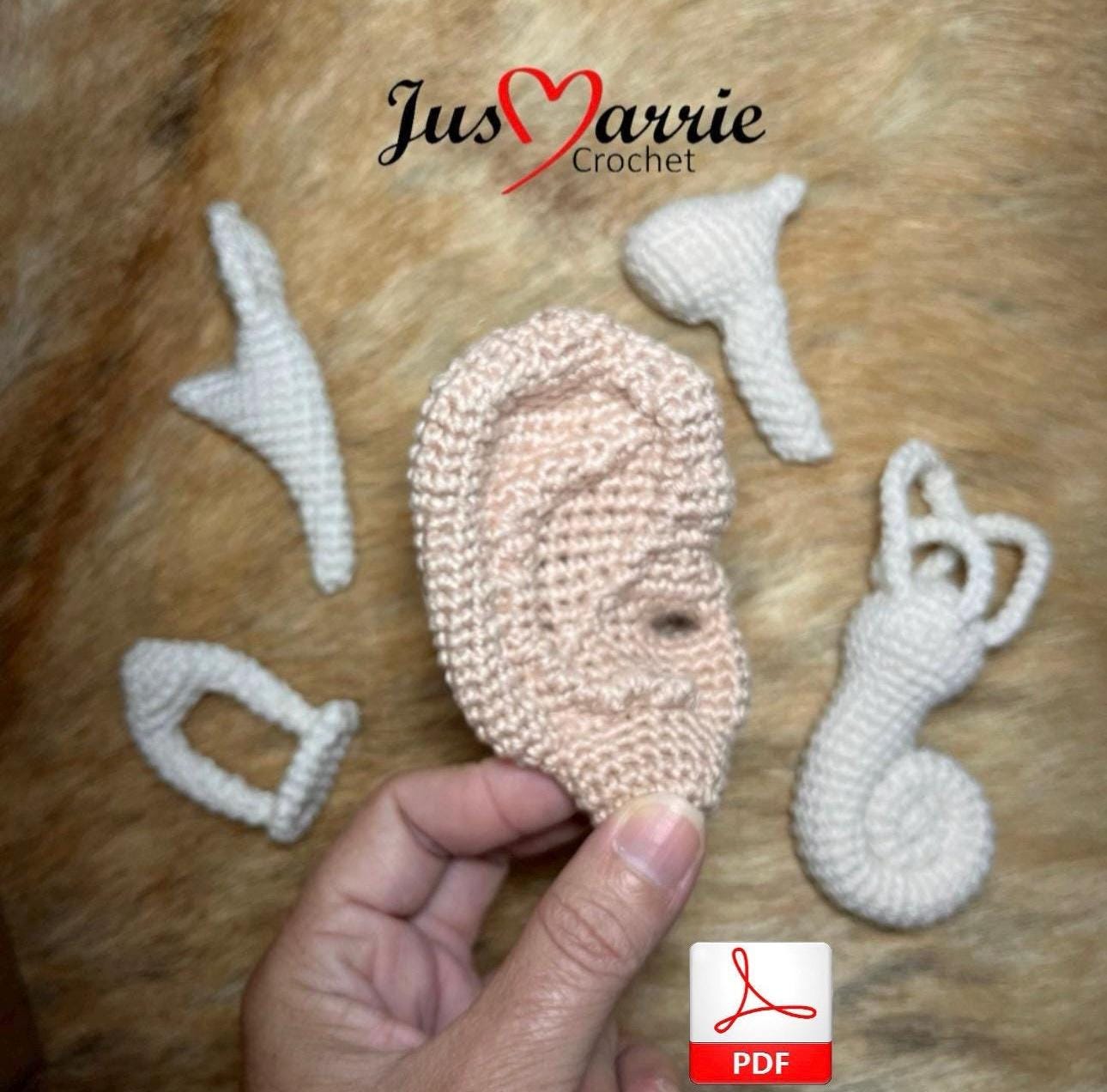 Ear (outer, Middle, Inner) Pattern English (PDF File) - Etsy
