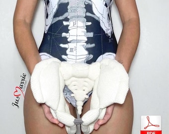 Weibliches Becken (Muster, PDF-Datei, englisch)