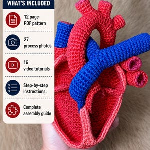 May include: A crocheted anatomical heart model in red and blue yarn. A text box titled WHAT'S INCLUDED lists: 12 page PDF pattern, 27 process photos, 16 video tutorials, step-by-step instructions, and a complete assembly guide for the project.
