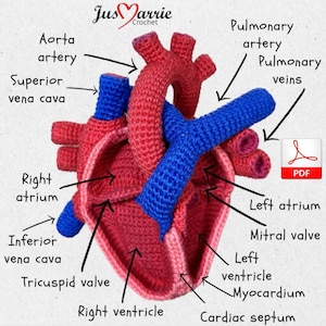 Menschenherz (Häkelanleitung Englisch, PDF-Datei)