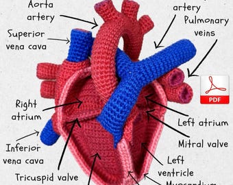 Human Heart (Pattern English, PDF file)