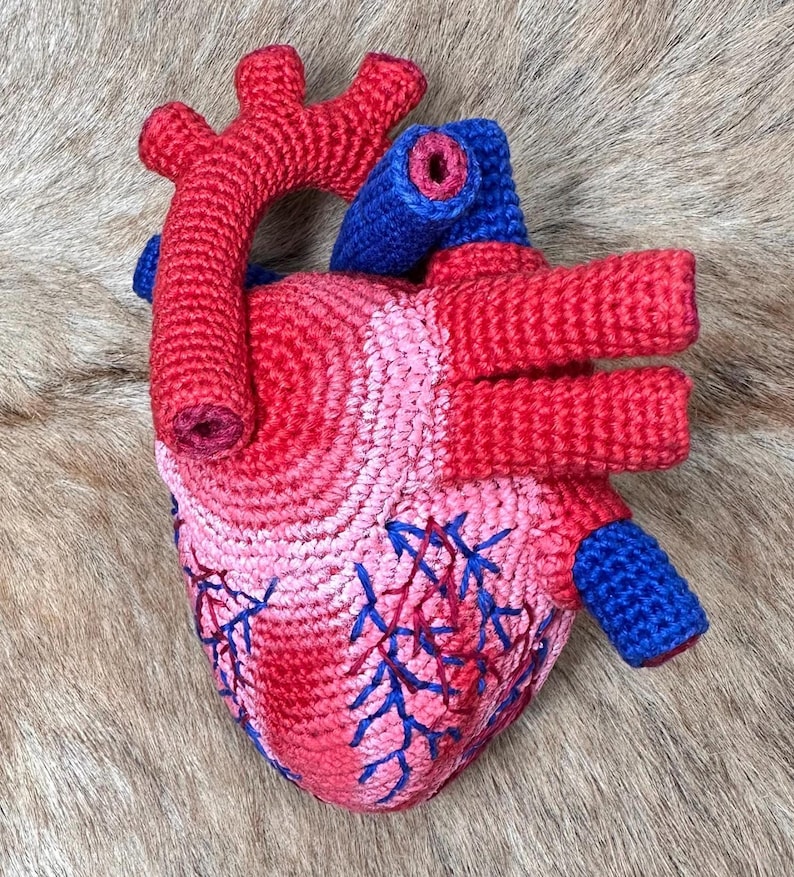 May include: A crocheted anatomical heart model featuring a textured surface in shades of pink and red. The structure includes prominent blue tubular vessels and intricate blue yarn embroidery detailing that mimics the appearance of veins.