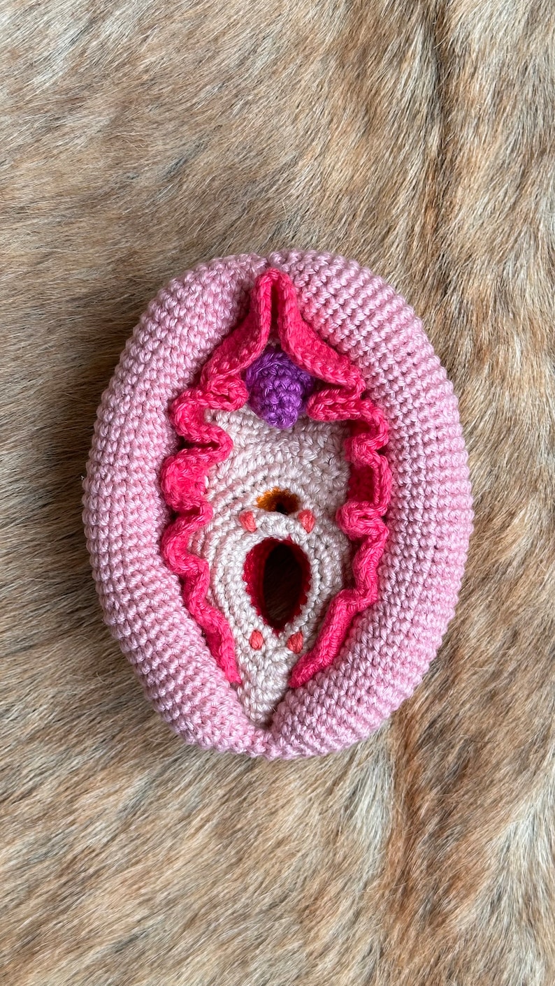 May include: A crocheted pink and red anatomical heart with a purple flower on top. The heart is on a brown furry surface.