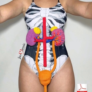 Urinary System (Pattern English, PDF file)