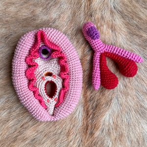 May include: A crocheted anatomical model of the female reproductive system, including the vulva and fallopian tubes, in shades of pink and red.