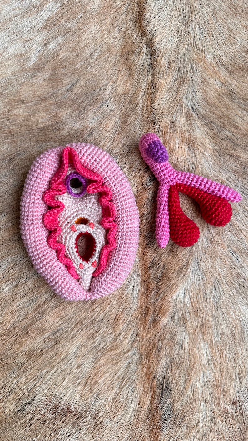 May include: A crocheted anatomical model of the female reproductive system, including the vulva and fallopian tubes, in shades of pink and red.