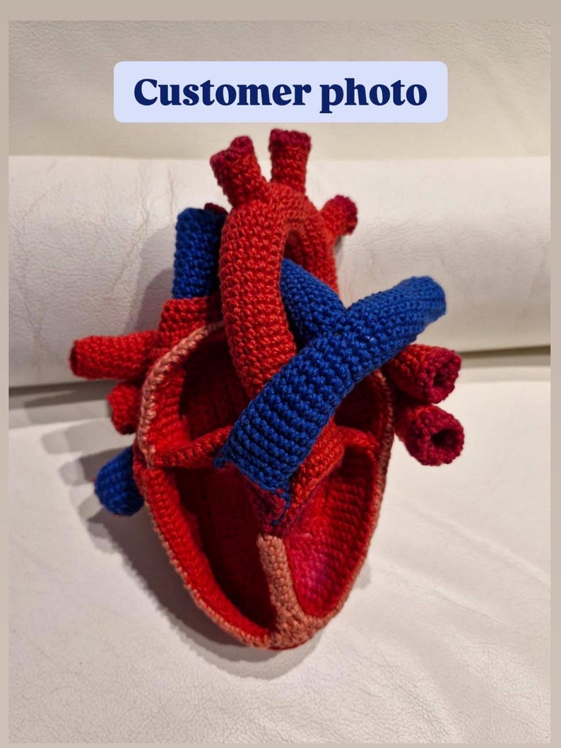 May include: A crocheted anatomical heart model featuring red, blue, and light pink yarn. The structure includes various chambers and vessels with a textured, knotted surface. The text "Customer photo" is visible in a light blue box at the top.