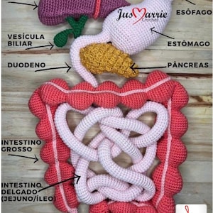 Sistema digestivo: crochet (libro electrónico en inglés) (archivo PDF)