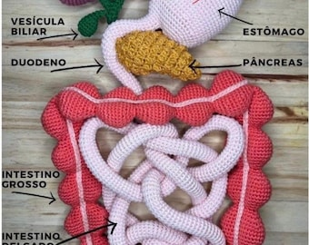 Digestive System Crochet English Ebook (PDF file)