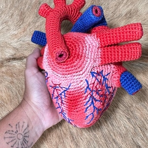 May include: A crocheted anatomical heart model featuring a textured surface in shades of red and pink. The structure includes prominent blue tubular vessels and intricate blue stitched details representing veins across the main heart body.