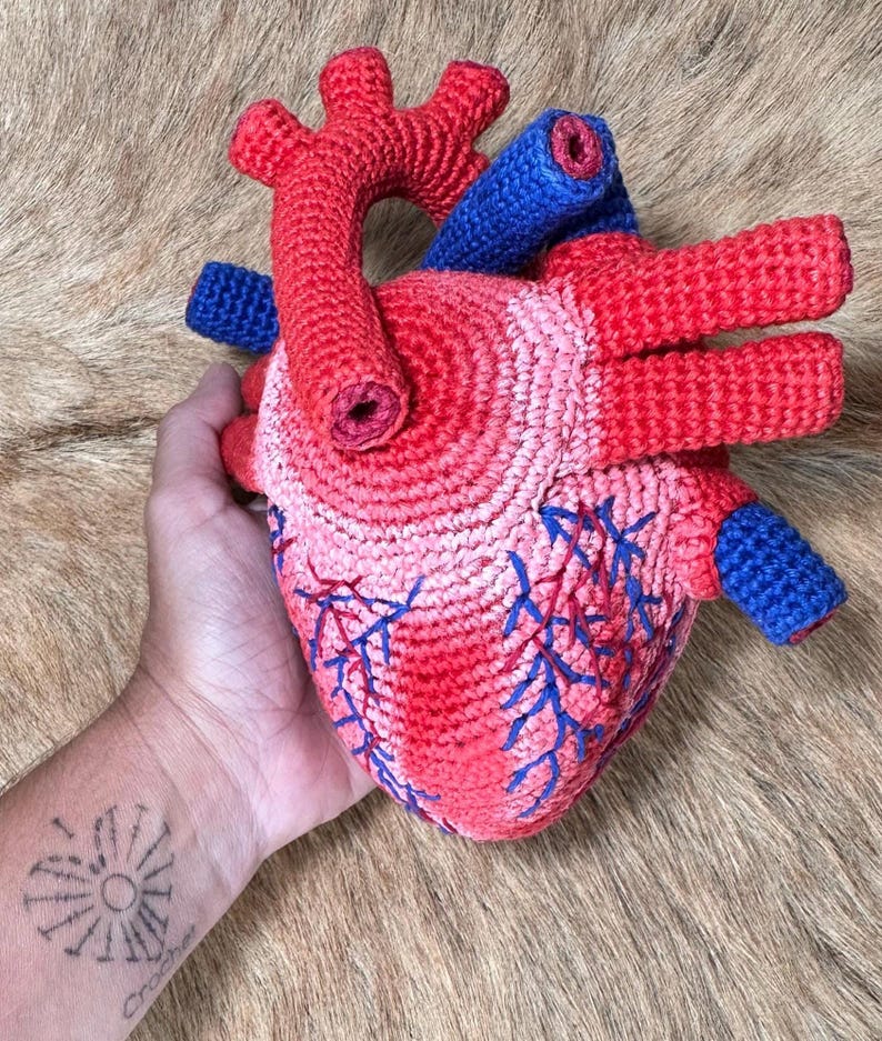May include: A crocheted anatomical heart model featuring a textured surface in shades of red and pink. The structure includes prominent blue tubular vessels and intricate blue stitched details representing veins across the main heart body.