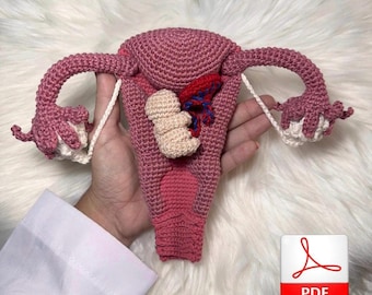 Uterus, seine Schichten und Strukturen (PDF-Datei, englisch)