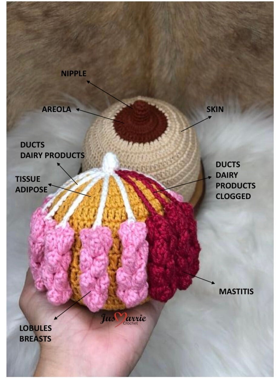 Pattern English, Breast With Mastitis (PDF file)
