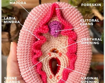 Vulva und Klitoris andockbar (PDF-Datei, englisch)