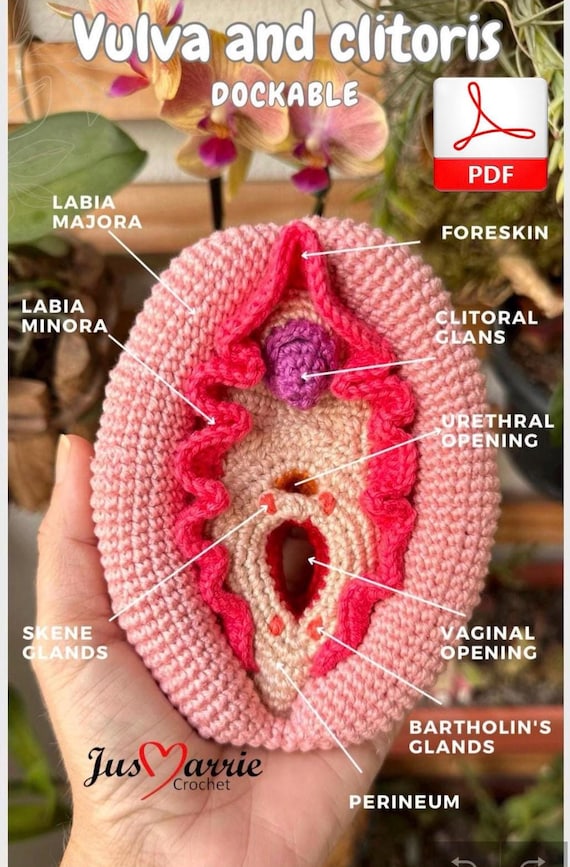 Vulva and clitoris dockable (PDF file, English)