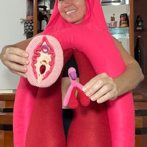 Vulva and clitoris dockable (PDF file, English) image 4
