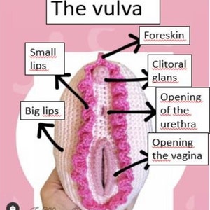 Pattern, the vulva. (English, PDF file)