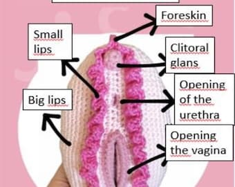 Pattern, the vulva. (English, PDF file)