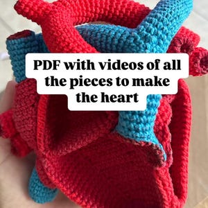 May include: A crocheted anatomical heart model featuring red and blue yarn sections, with a white rectangular overlay containing the black text: PDF with videos of all the pieces to make the heart. The structure displays various chambers and vessels.