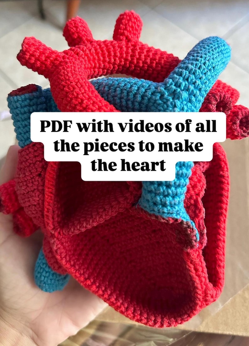 May include: A crocheted anatomical heart model featuring red and blue yarn sections, with a white rectangular overlay containing the black text: PDF with videos of all the pieces to make the heart. The structure displays various chambers and vessels.