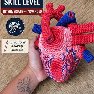 May include: A crocheted anatomical heart model featuring red and pink yarn textures with blue yarn accents representing veins. The image includes text stating SKILL LEVEL INTERMEDIATE TO ADVANCED and Basic crochet knowledge is required.