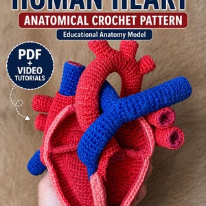 Pode incluir: Um modelo anatómico de coração humano feito em croché com secções de fio vermelho e azul. O texto na imagem diz: HUMAN HEART, ANATOMICAL CROCHET PATTERN, Educational Anatomy Model e PDF + VIDEO TUTORIALS. O design mostra as câmaras cardíacas.