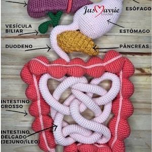 Digestive System Crochet English Ebook (PDF file)