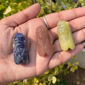 May include: Three carved gemstone cicada figurines in shades of blue, brown, and yellow-green. The detailed carvings depict the insect's body and wings. The figurines are held in a hand, showcasing their size and color variations.