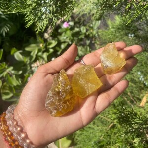 Puede incluir: Tres cristales de citrino en bruto de color amarillo en varios tamaños y formas. Los cristales son translúcidos y tienen un tono dorado.