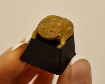 It is wednesday my dudes frog Keycap 3D Print STL File | 3D Keycap Model STL, 3D Printer File, File for 3D Printers, STL, Instant Download