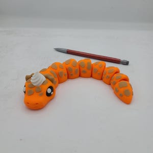 May include: A small orange and brown snake with a white horn on its head. The snake is curled up in a circle.